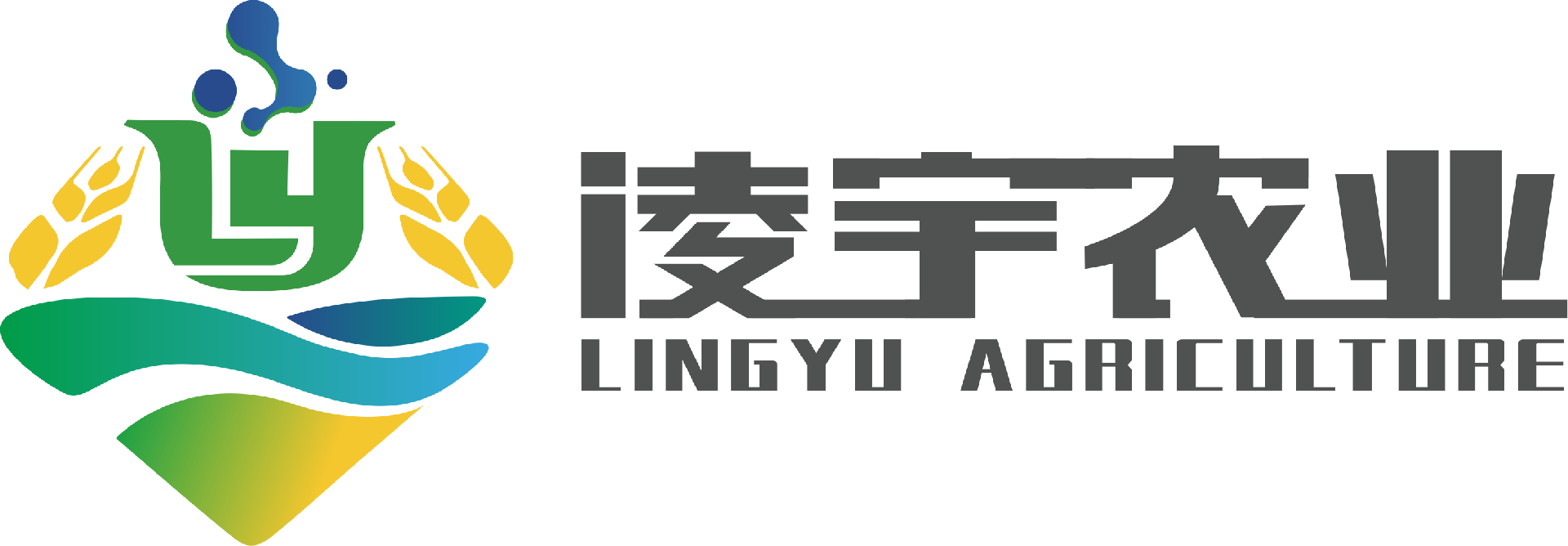 yd12300云顶线路官网