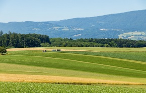 1650亿！2022乡村振兴补助金来了，给谁用？用在哪？