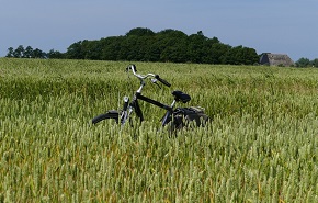 【项目申报】关于做好2022年农村综合性改革试点试验申报工作的通知 （财办农〔2022〕6号）