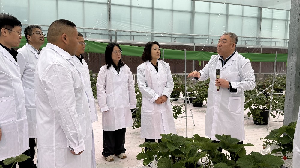 科技部林新部长来我院项目基地调研指导工作