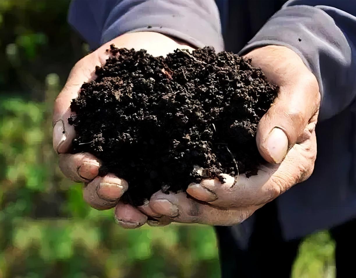 农业面源污染综合治理