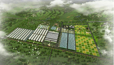 农业产业园规划