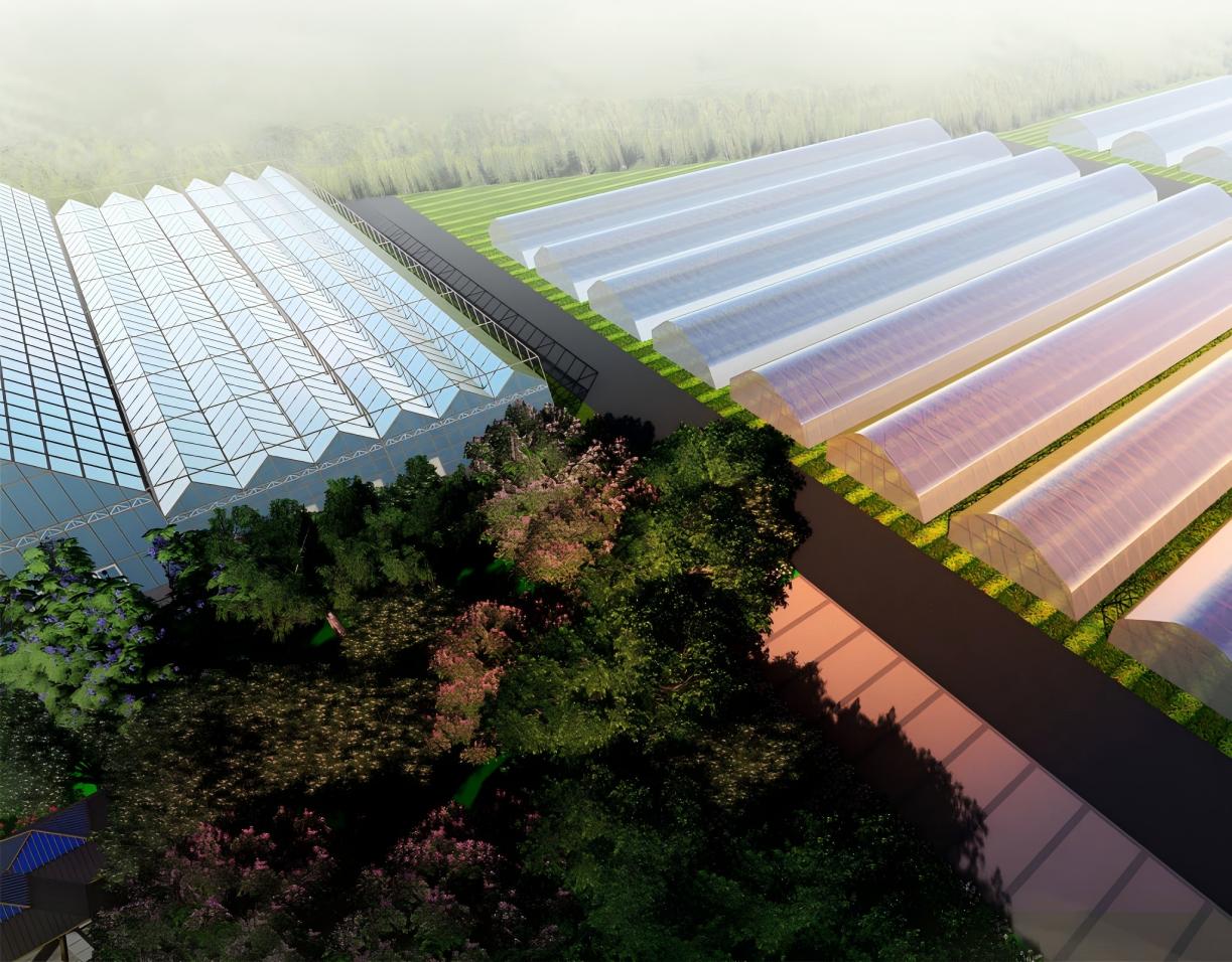 甘肃渭源鲜切花设施温室设计