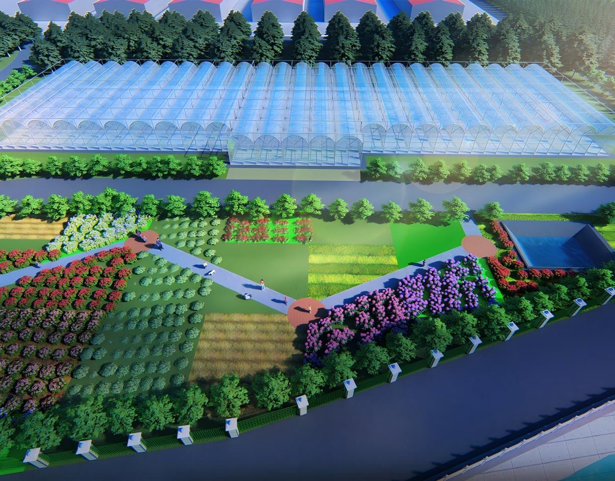 甘肃渭源鲜切花设施温室设计