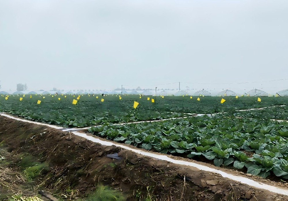 农业面源污染综合治理