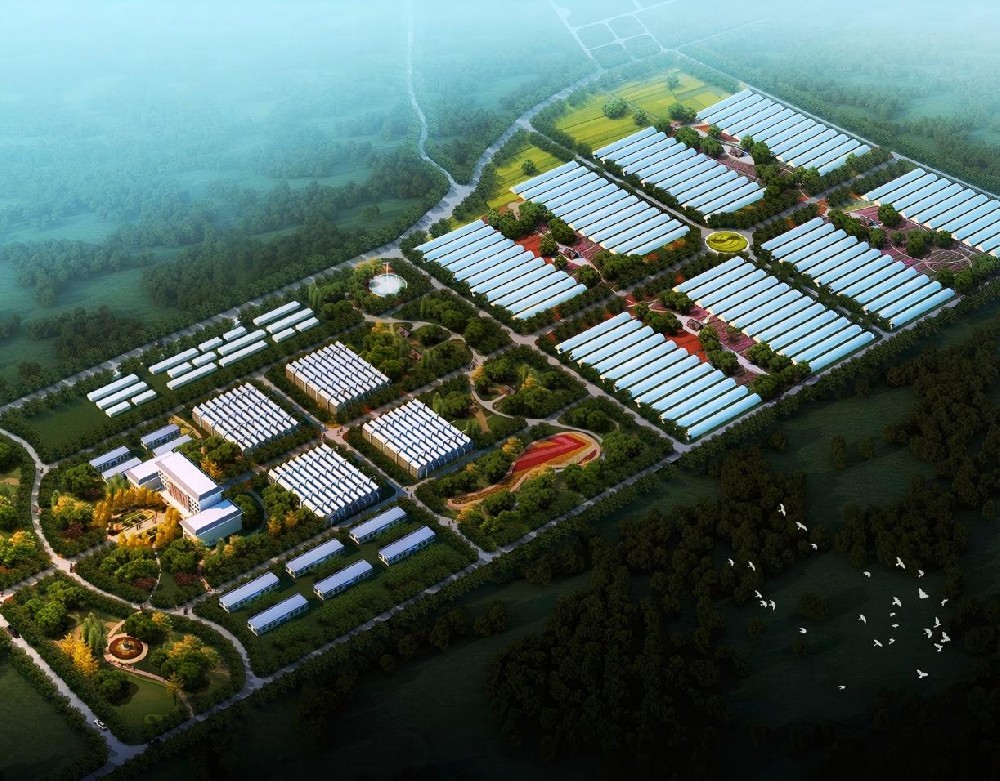 礼泉君德宝现代设施农业园区二期总体规划