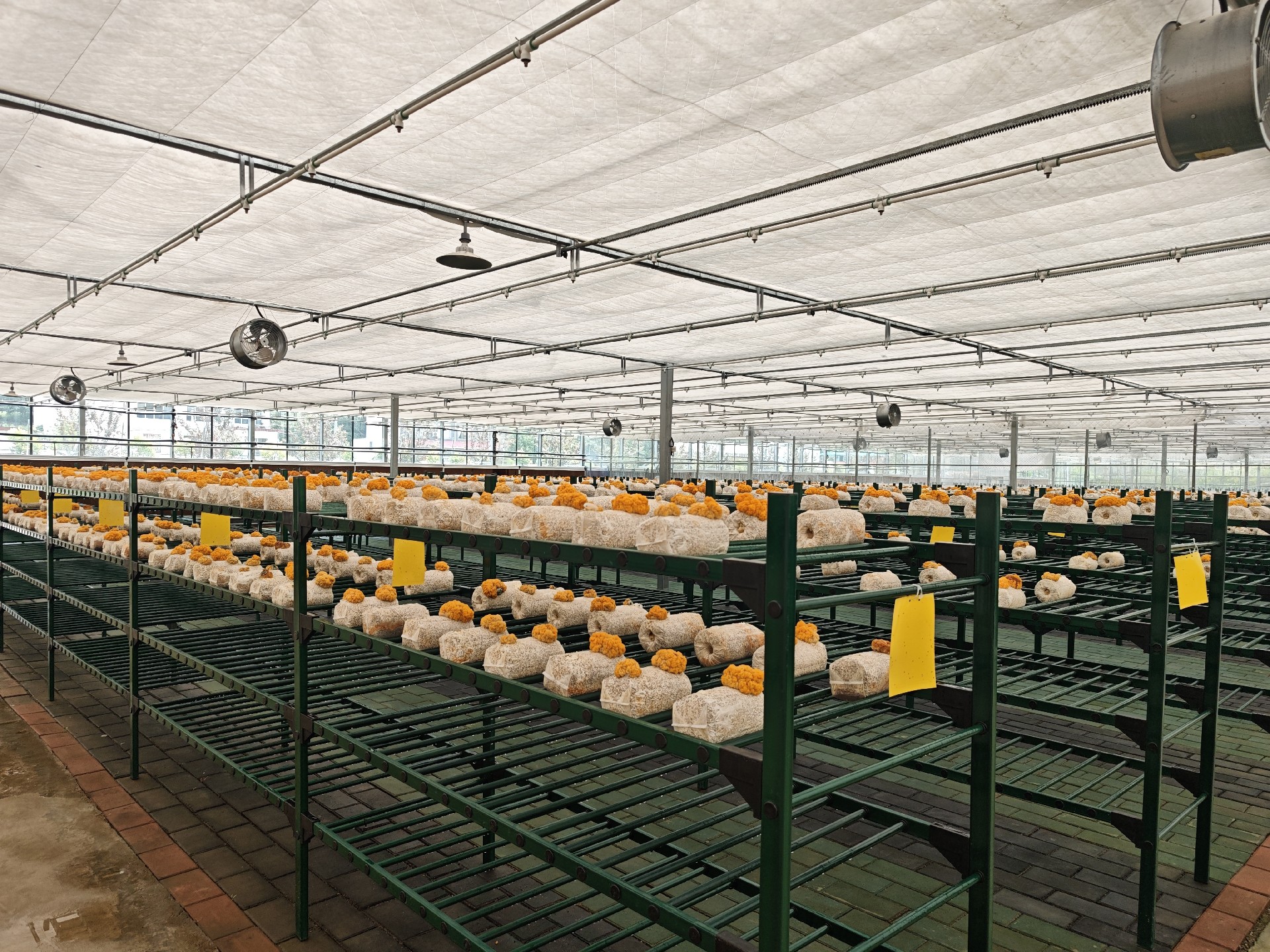 柞水金米智慧农业园规划设计