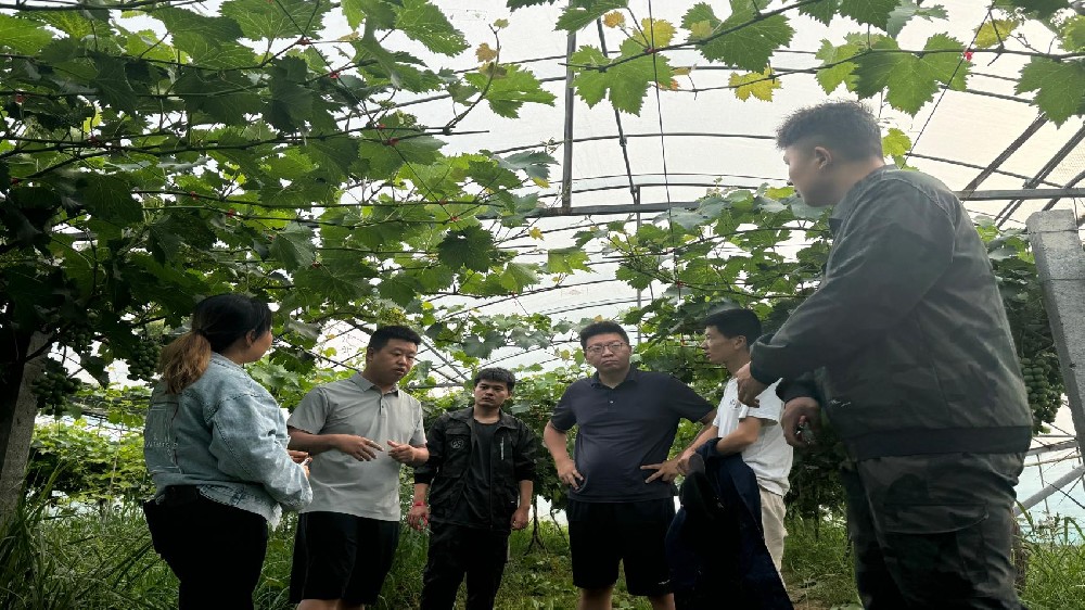 凌宇研究院助力“千万工程”，引领乡村振兴